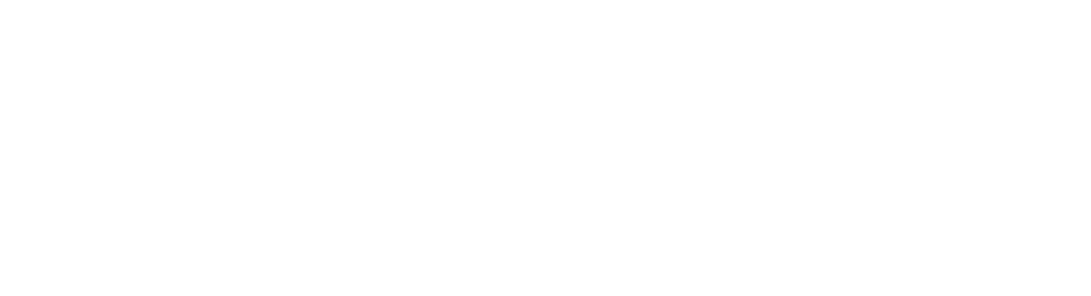 light logo